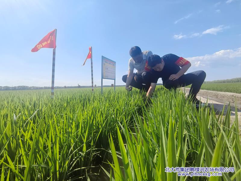 微信图片_20260626075911.jpg