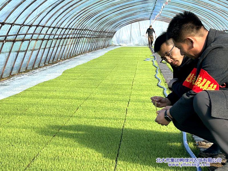 微信图片_20260413100722_273_569_副本.jpg 微信图片_20260413100722_273_569_副本.jpg