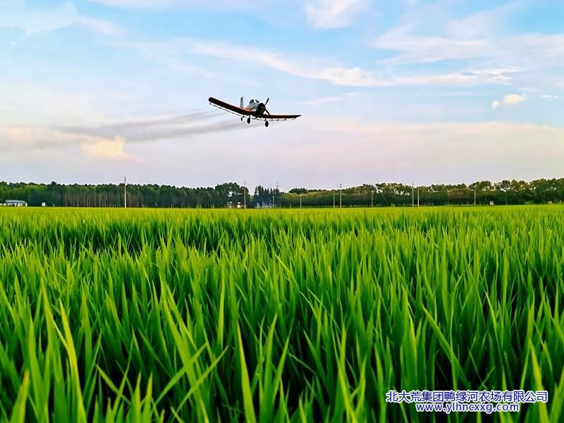 MTXX_IMG_20260707_14310150._副本.jpg
