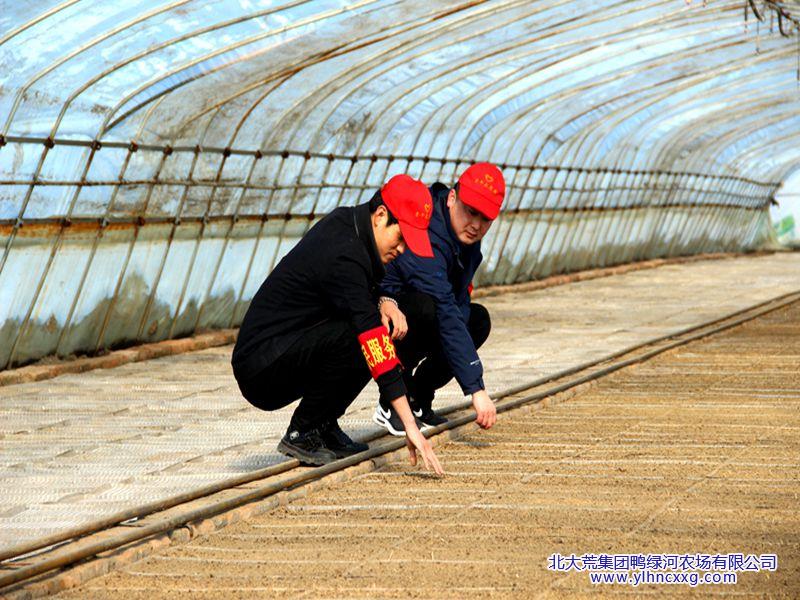 IMG_8487_副本.jpg IMG_8487_副本.jpg