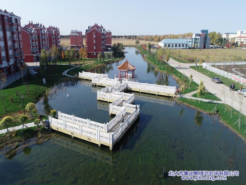 水中凉亭.JPG