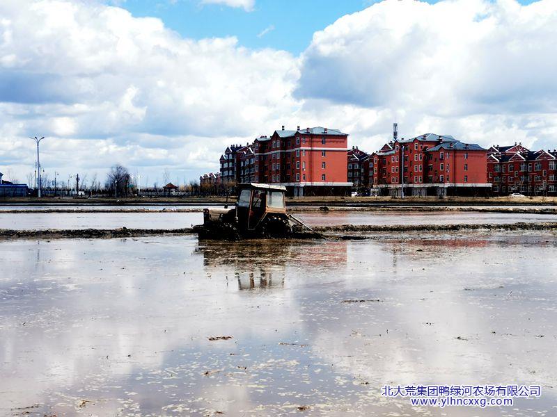 IMG_20210425_103545_副本.jpg