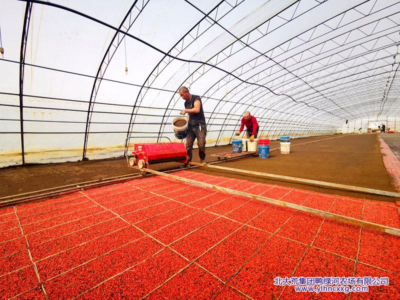 IMG_20230403_094229_副本.jpg IMG_20230403_094229_副本.jpg