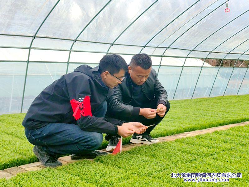 微信图片_20260422095201_88_18_副本.jpg