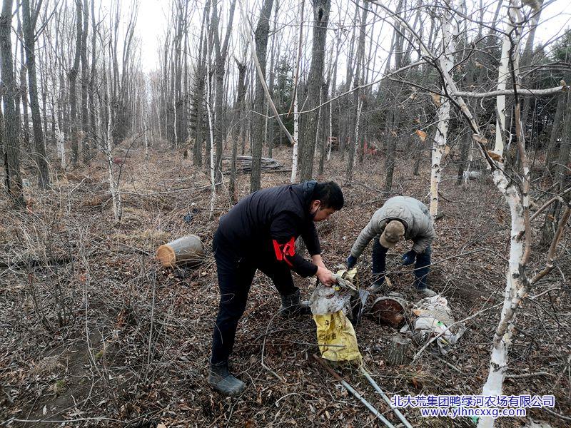 微信图片_20260422104447_82_113_副本.jpg 微信图片_20260422104447_82_113_副本.jpg