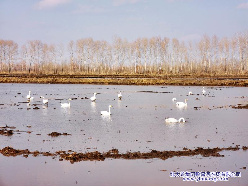 QQ图片20260413070549.jpg QQ图片20260413070549.jpg