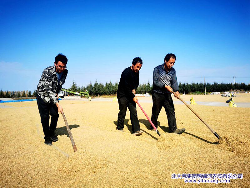 IMG_20201010_102900_副本.jpg IMG_20201010_102900_副本.jpg