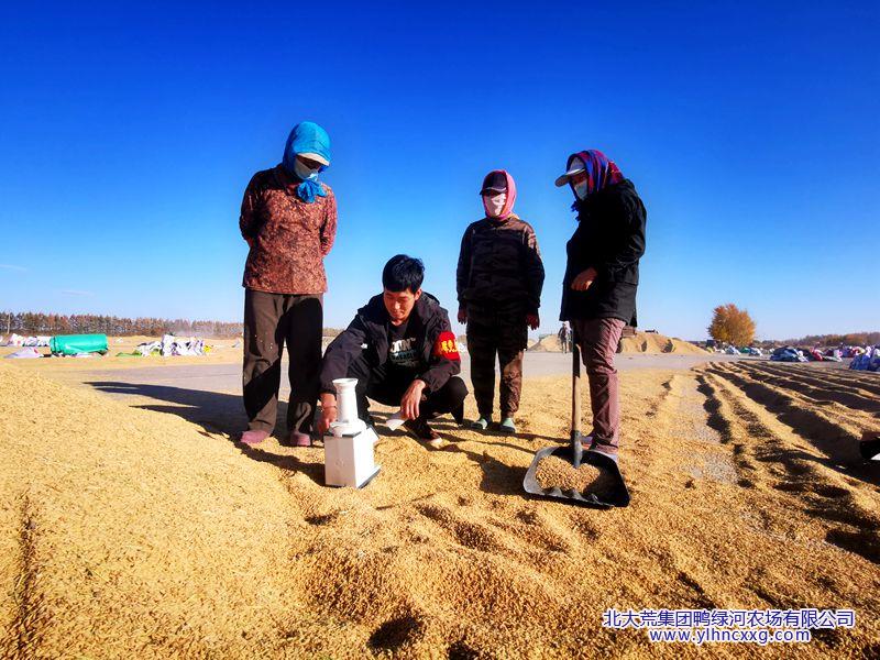 IMG_20231012_141411_副本.jpg IMG_20231012_141411_副本.jpg