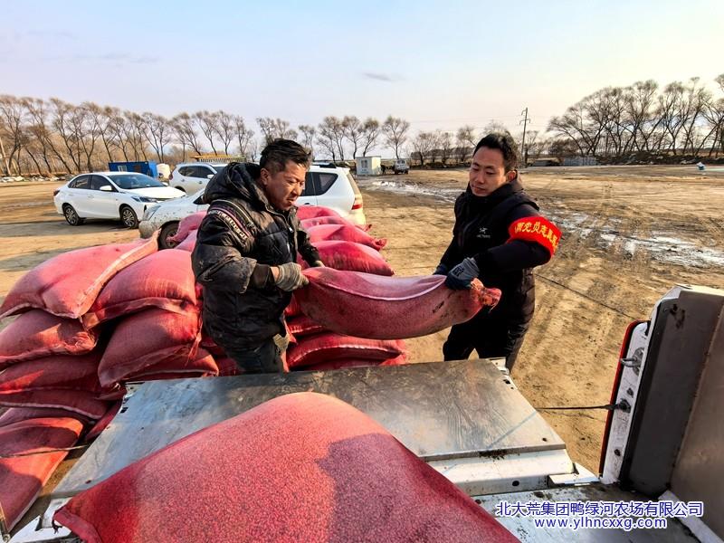 image_1774856205446_副本.jpg image_1774856205446_副本.jpg