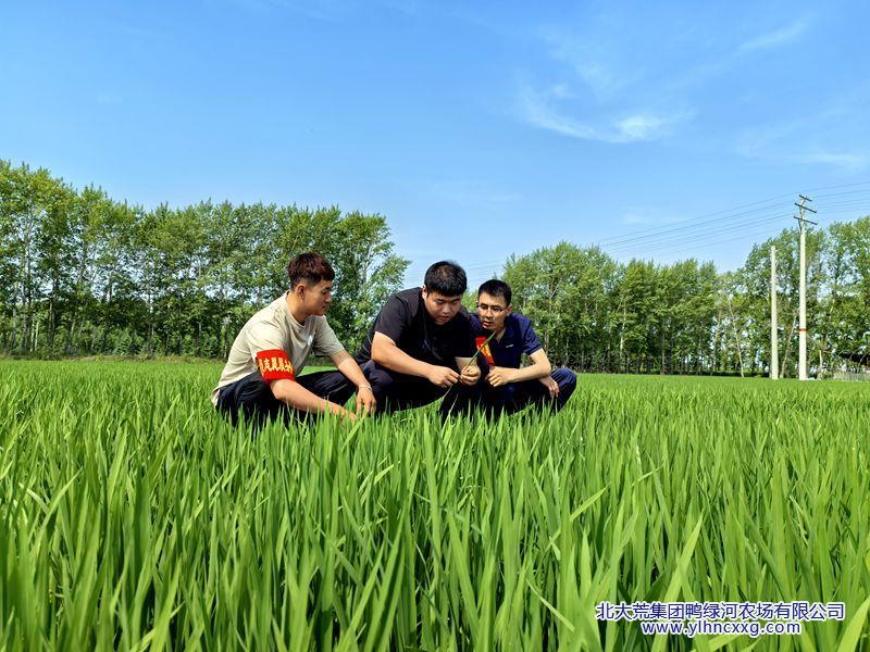 微信图片_20250627094259_副本.jpg