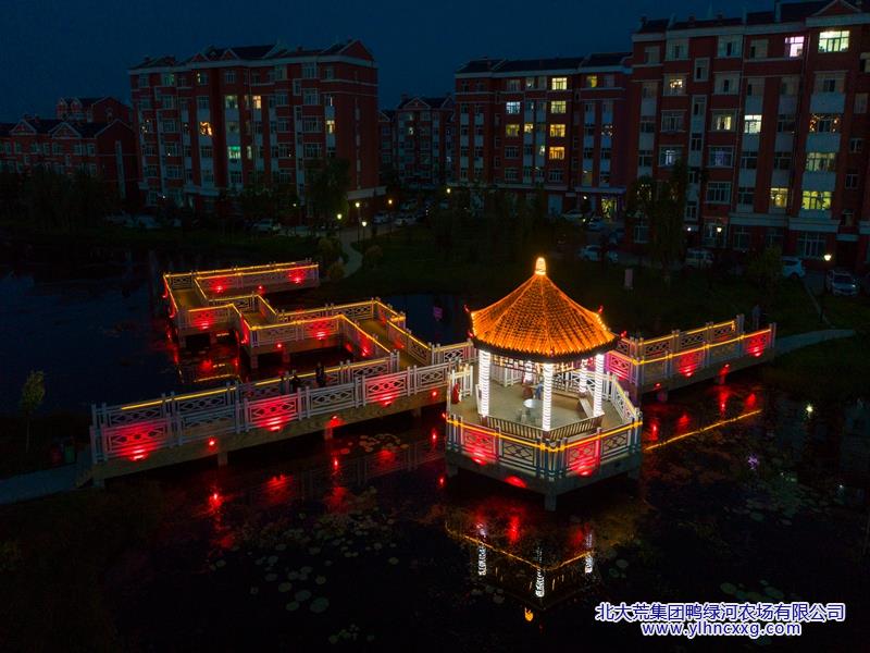 凉亭夜景.jpg