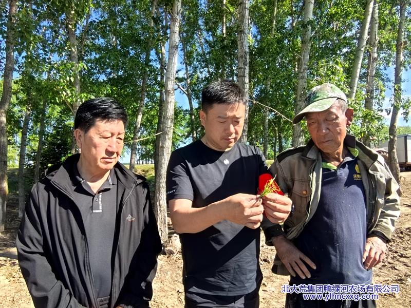 微信图片_20260528080213.jpg 微信图片_20260528080213.jpg
