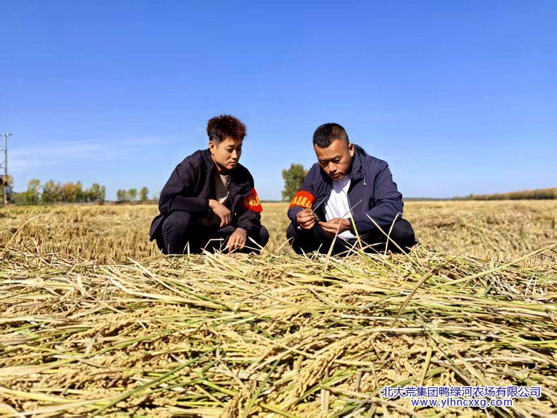 微信图片_20250928090905_79_109_副本.jpg 微信图片_20250928090905_79_109_副本.jpg